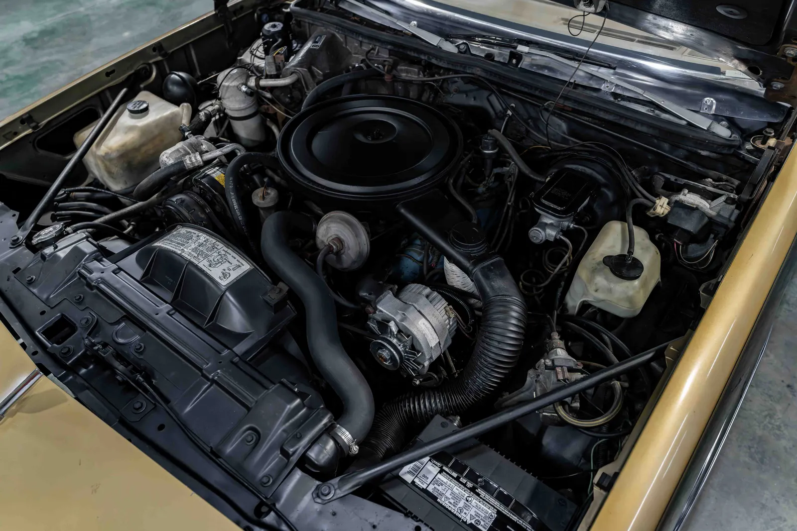 10_1979-Oldsmobile-W30-Black and Gold-536930-46.jpg